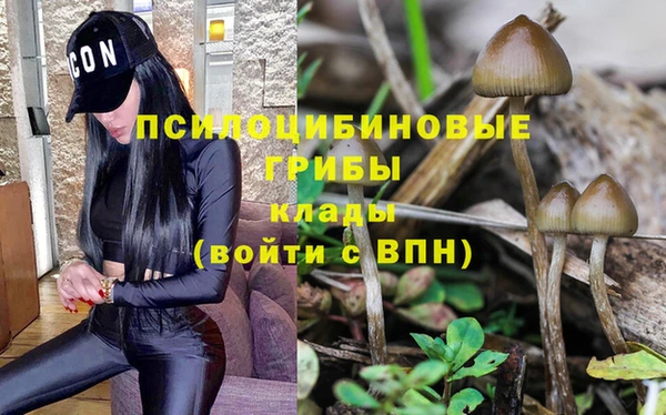 эйфоретик Баксан